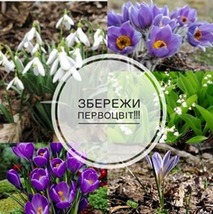 Продаж  та збирання рослин, занесених до Червоної книги України заборонено!